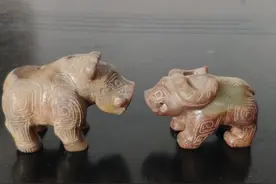 野猪大过牛图片