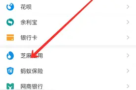 支付宝资料认证额度飞涨快来看吧图片