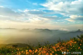 宁波最美风车古道，网红打卡地——白岩山风车公路图片