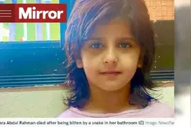 沙特女童上厕所被蛇咬身亡！厕所里的剧毒蛇，究竟是从哪进来的？图片