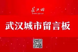 长江新区武湖片区规划有多所中小学，还有一批学校建设问题有回复了图片