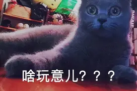 一听到“躺平”也能赚大钱，小心思就藏不住了......图片