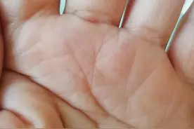 手心里的米字纹图片