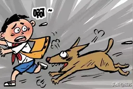 江苏苏州：被狗追赶摔倒受伤致十级伤残 狗主人被判赔偿11万余元图片