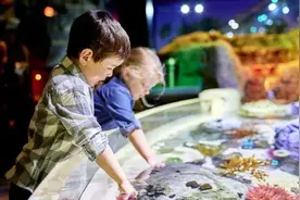 开业钜惠！“耕海1号”全国领先的海洋牧场综合体今天盛大开幕图片