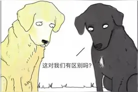 假如动物会说话？国外脑洞漫画师带来搞笑的动物日常图片