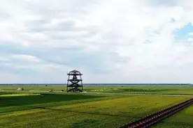 “寻美天津 青春筑梦”——天津市新兴领域青年走进绿色生态屏障采风调研图片