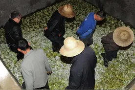 这五种用“脚”踩出来的美食，先别急着拒绝，许多人至少吃过一种图片