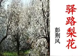 部编版语文七年级下册第四单元《驿路梨花》教学实录图片
