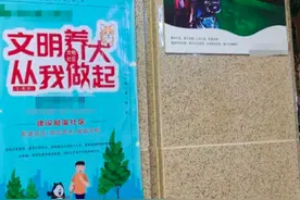 “遛狗事件”后，餐厅暂停接待散客，负责人：妻子该受惩罚图片