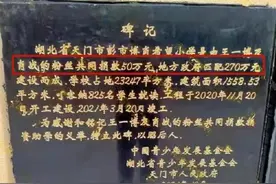 博肖希望小学引发争议，是真公益？还是饭圈文化“入侵”教育净土图片