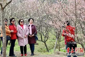 14.7亿元！衡阳春节假期旅游市场红火图片