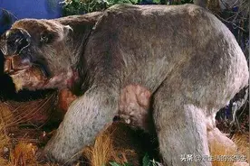 5种极可能还存在的古生物，其中一种，疑现身中国图片