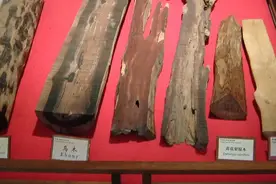 收藏古代软木和硬木在家具中的制作图片