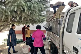 有人拉一车鱼倒进黄河，大妈捡地上的小鱼放生，路人：放了能活不图片