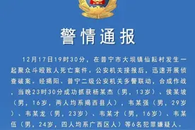 对网络评论不满产生矛盾线下约架，13岁男孩持利器刺死2人！警方：已抓获6名嫌疑人图片