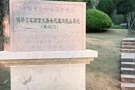 老人在南京大屠杀丛葬地碑前小便，已被批评教育并处罚图片