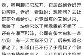 你们有没有养过成精的宠物？我家狗狗就这样，把我管得紧紧的图片