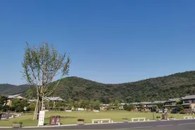 如果成长是一件痛苦的事情那就歇歇吧图片