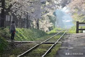 年末，往事清零；余生，爱恨随意图片