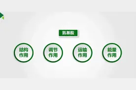 蛋白质的作用你知道吗？图片