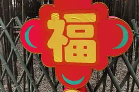 亲历空难3周年感慨图片