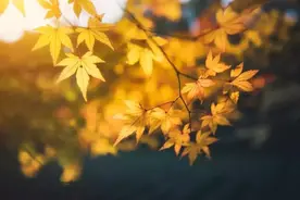 我问人生！( 非常经典 )图片