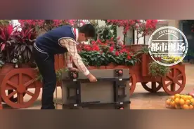厉害啦！小学生为母亲减负，发明小板车获金奖！背后故事很感人图片