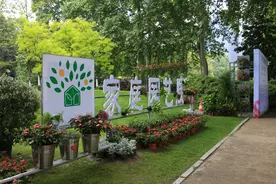 家庭园艺；青山吹奏《月儿弯弯照九州》（F调）半音阶口琴演奏图片