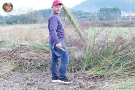 甜脆可口的马蹄好吃不好挖，老吴带你去田野中看看是如何挖出来的视频封面