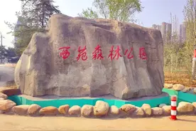 武安西苑公园“微改造”，快来加入有氧“森”呼吸图片