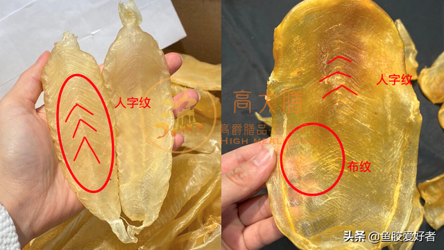 黄花胶与白花胶哪种好 2026年黄花胶与白花胶哪种好一点