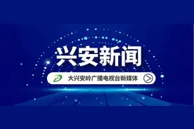 李大义强调坚决打赢“三个硬仗”加快林区转型振兴发展图片