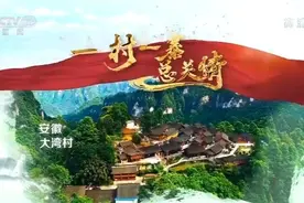 一村一寨总关情丨安徽大湾村：摘穷帽 奔小康 一个小山村的美丽蝶变图片