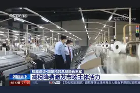 权威访谈丨国家税务总局局长王军：落实减税降费 激发市场主体活力图片