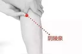 阴陵泉：缓解腹痛、膝痛图片