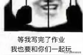 2020年度旷世系列巨片之《我和作业的爱恨情仇》图片