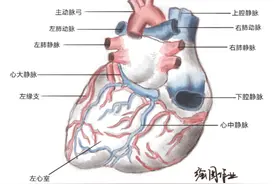 惊艳！兰州大学医学生实验报告“走红”网络，网友：抄作业都没法抄！图片