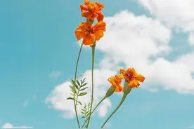 5.4青年节青春无敌祝福短信，句句精选，节日快乐！图片