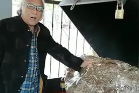 马学珍说陨石系列之《化石》的秘密图片