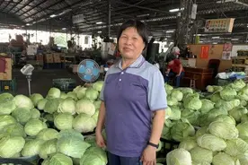 台湾高丽菜产量过剩价格跌到谷底，台网友讽：全民齐吃挺台湾？图片