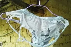 美国男子曝所有男生的内裤穿3-10次才洗！男网友怒怼：WTF图片