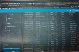 自己发烧、女友怀孕！这个“00后”买不到回国机票，竟把航空系统给“黑了”图片