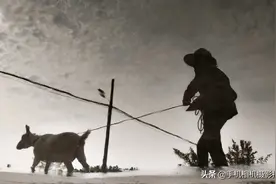 拍照时，时机真的很重要！这几张照片，就“毁”在了这一点图片