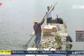河面陆续出现大量死鱼臭气熏天 究竟咋回事？环卫船加紧打捞图片