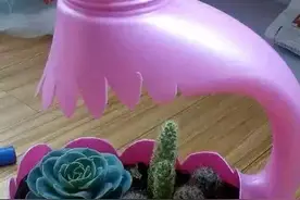 “洗衣液桶”别扔，这样剪2刀，秒变养花神器，还能种菜图片