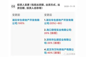 首发！万科武汉再下一城，新增土储34万方（土地面积）项目图片