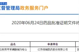 恒瑞、人福抢食百亿麻醉剂市场！TOP10产品仅1个过评谁将先拔头筹图片
