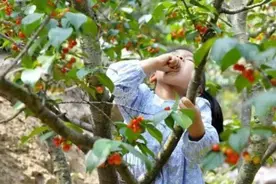 “六一”儿童节撒欢好去处，好吃好玩好开心~图片