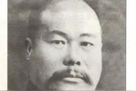 太极拳大师杨澄甫之——冉冉升起图片